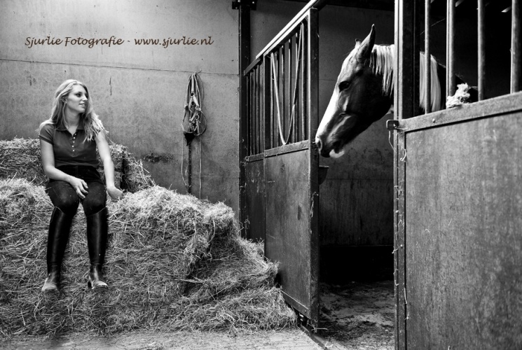 Pferdefotograf Aachen