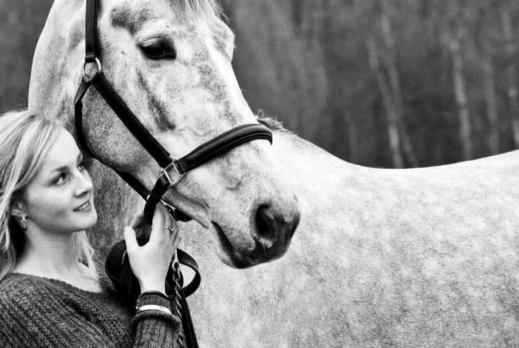 Pferdefotograf Aachen